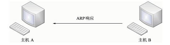 arp-报文-请求&响应