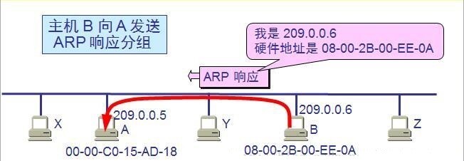 arp-报文-响应