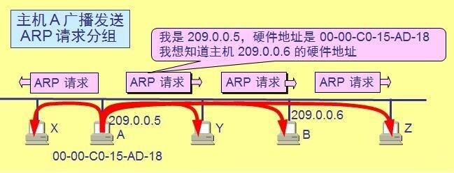 arp-报文-请求